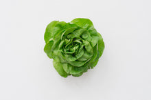 Load image into Gallery viewer, KARIN SANDER — Lettuce, 2012