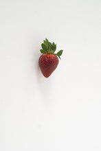 Load image into Gallery viewer, KARIN SANDER — Strawberry, 2012