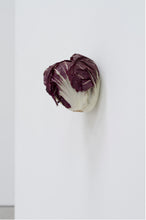 Load image into Gallery viewer, KARIN SANDER — Radicchio, 2012