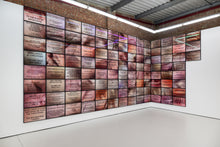 Load image into Gallery viewer, LOUISA CLEMENT — Body of Knowledge 106, 2025