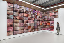 Load image into Gallery viewer, LOUISA CLEMENT — Body of Knowledge 106, 2025
