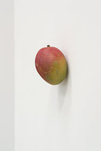 Load image into Gallery viewer, KARIN SANDER —    Mango, 2012
