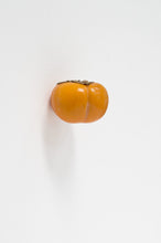 Load image into Gallery viewer, KARIN SANDER —    Kaki, 2012
