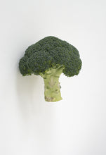 Load image into Gallery viewer, KARIN SANDER —    Broccoli, 2012
