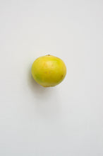Load image into Gallery viewer, KARIN SANDER — Pomelo, 2012

