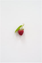 Load image into Gallery viewer, KARIN SANDER — Raspberry, 2012
