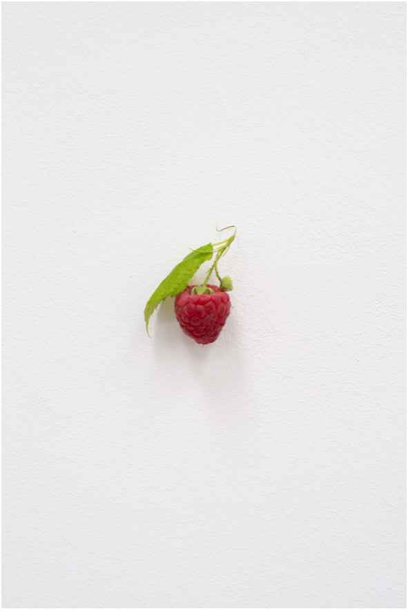 KARIN SANDER — Raspberry, 2012