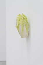 Load image into Gallery viewer, KARIN SANDER —  China Cabbage, 2012
