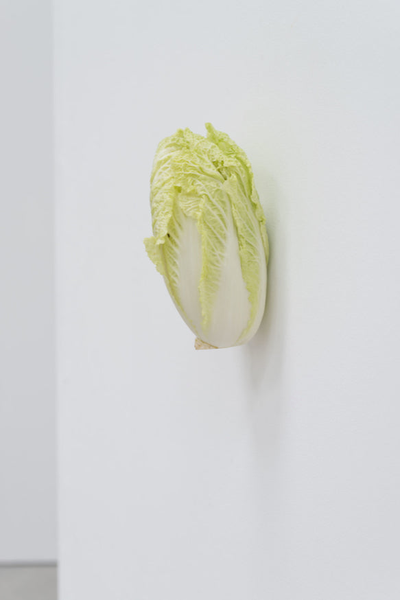 KARIN SANDER —  China Cabbage, 2012