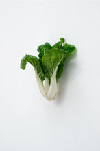 Load image into Gallery viewer, KARIN SANDER —   Pak Choi, 2012
