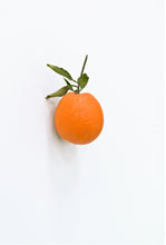 Load image into Gallery viewer, KARIN SANDER —    Orange, 2012
