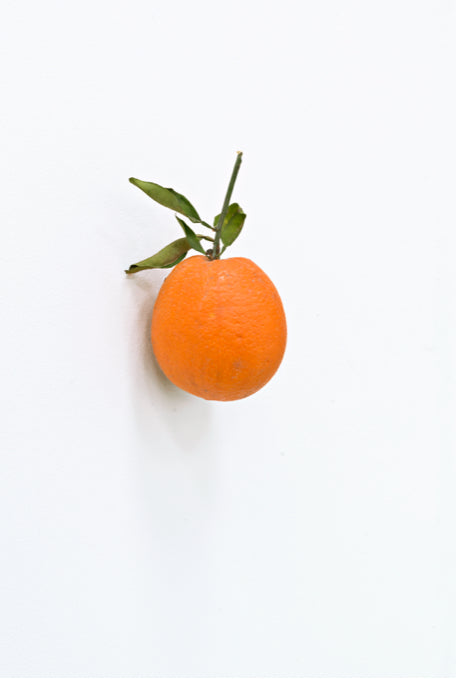 KARIN SANDER —    Orange, 2012