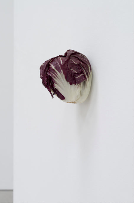 KARIN SANDER —    Radicchio, 2012