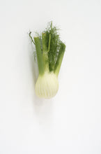 Load image into Gallery viewer, KARIN SANDER —    Fennel, 2012
