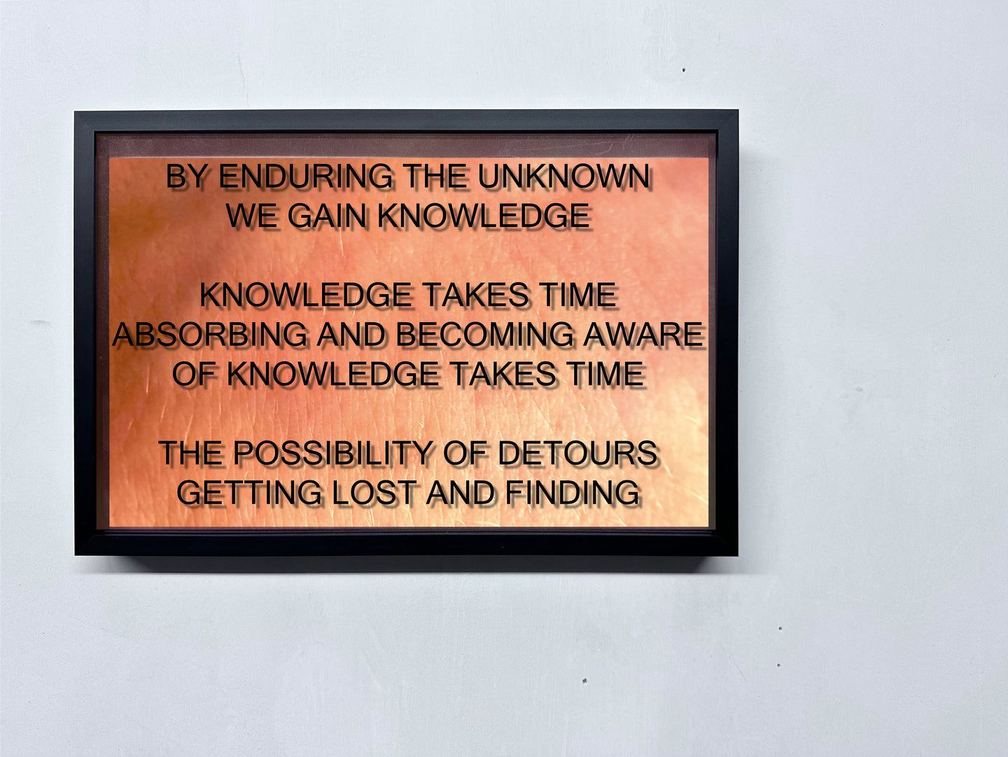 LOUISA CLEMENT — Body of Knowledge 22, 2025