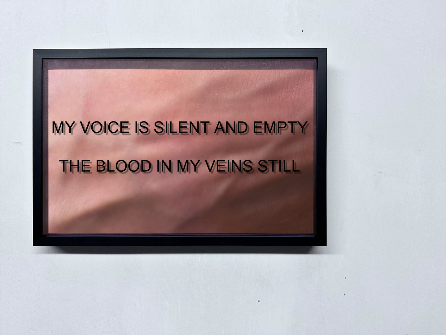 LOUISA CLEMENT — Body of Knowledge 37, 2025