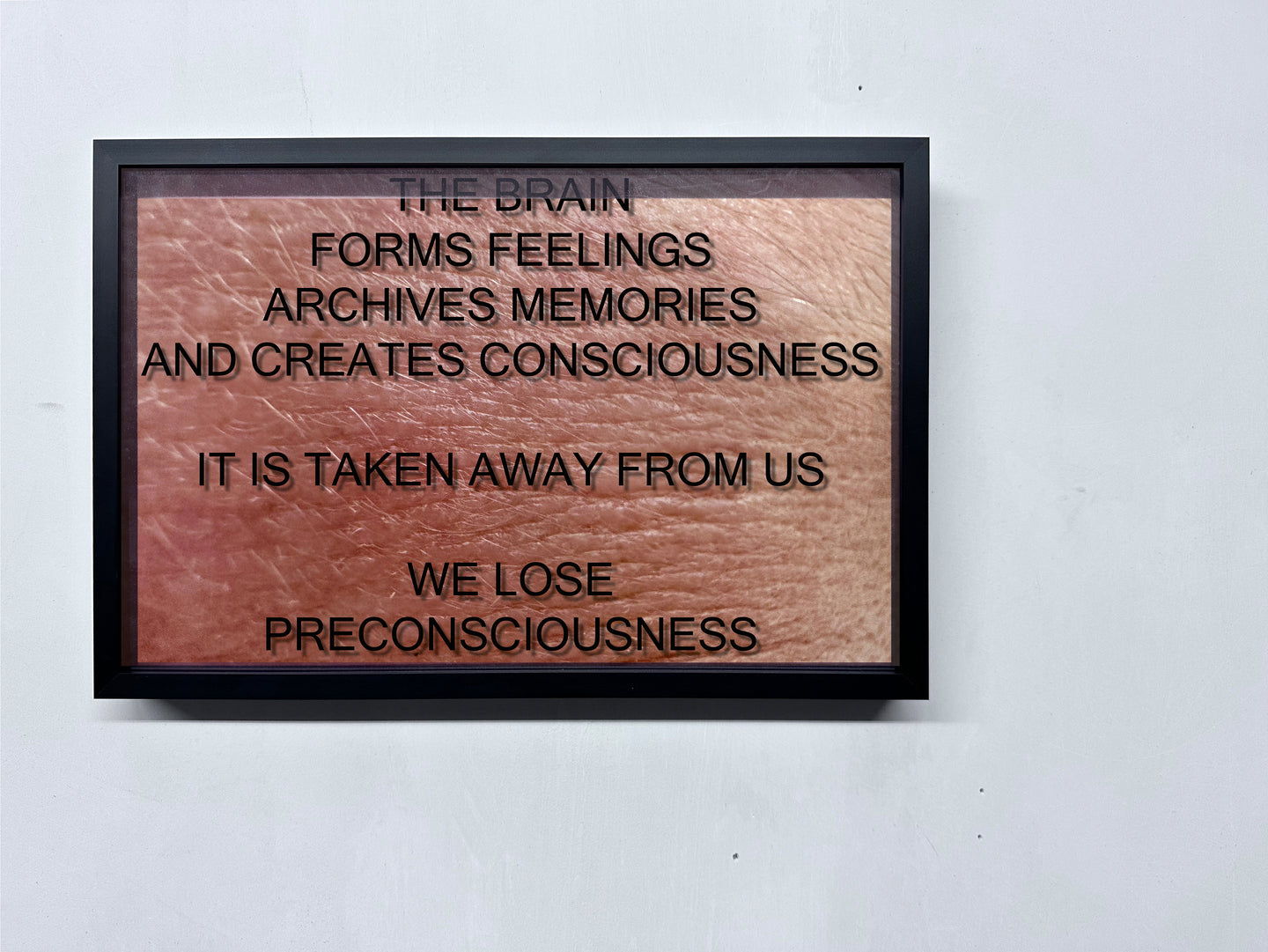 LOUISA CLEMENT — Body of Knowledge 45, 2025