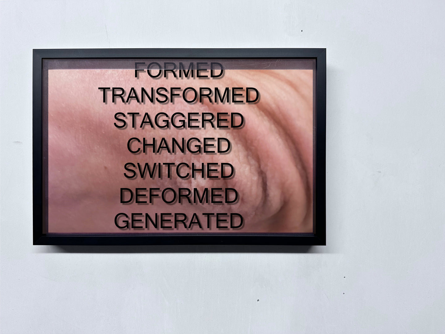 LOUISA CLEMENT — Body of Knowledge 50, 2025