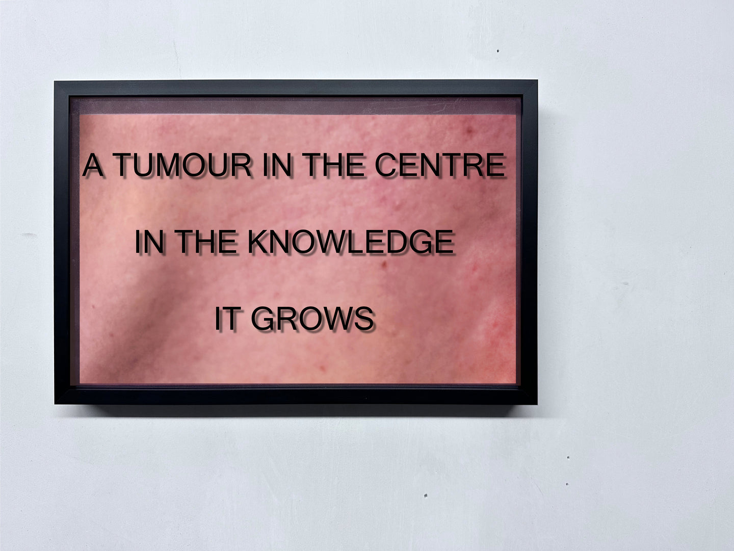 LOUISA CLEMENT — Body of Knowledge 64, 2025