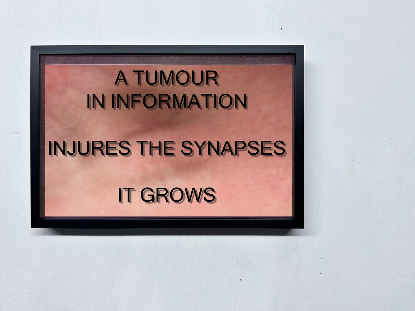 LOUISA CLEMENT — Body of Knowledge 65, 2025