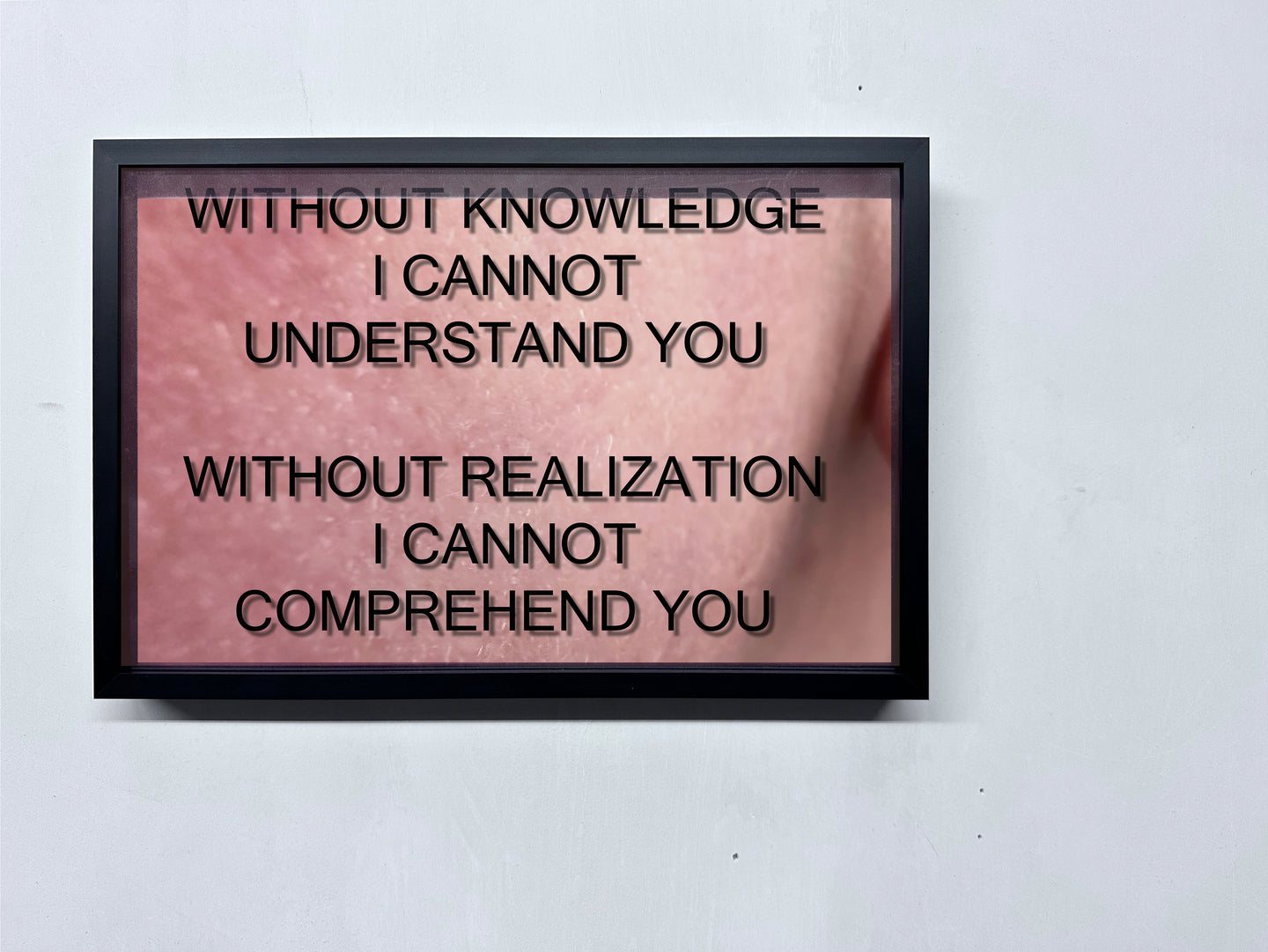 LOUISA CLEMENT — Body of Knowledge 76, 2025
