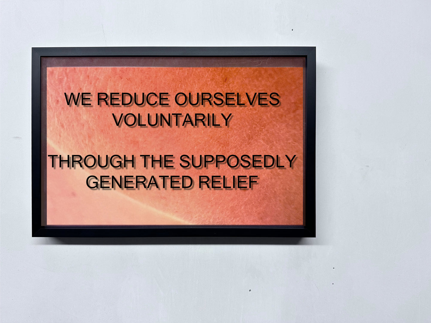 LOUISA CLEMENT — Body of Knowledge 80, 2025