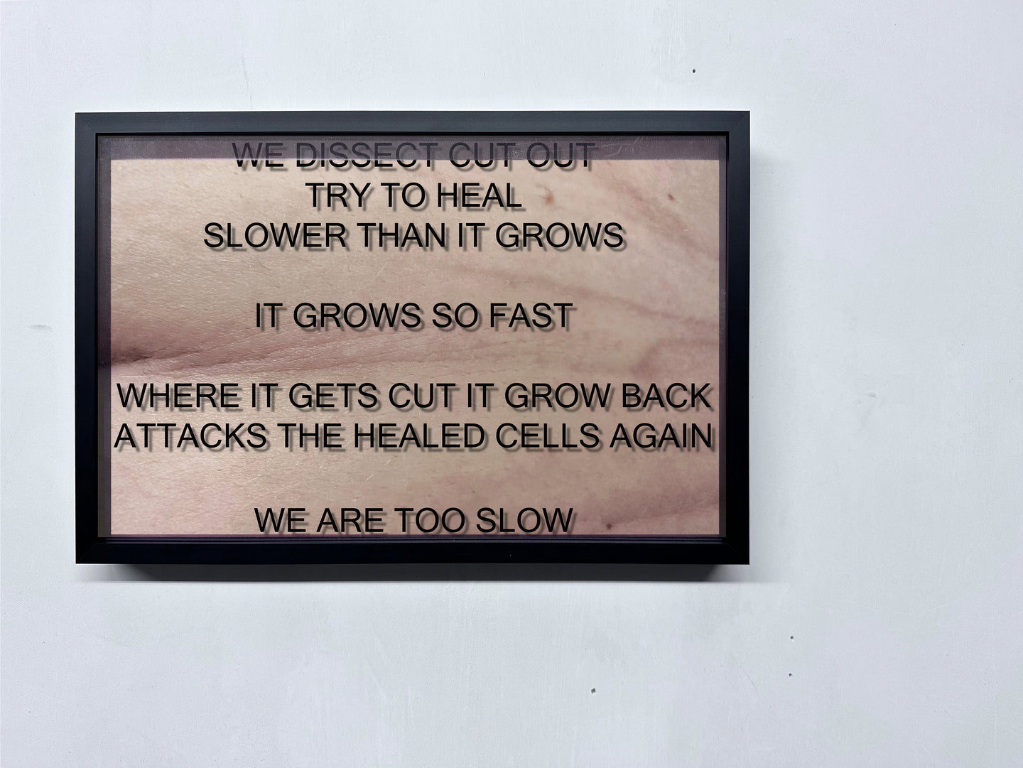 LOUISA CLEMENT — Body of Knowledge 90, 2025