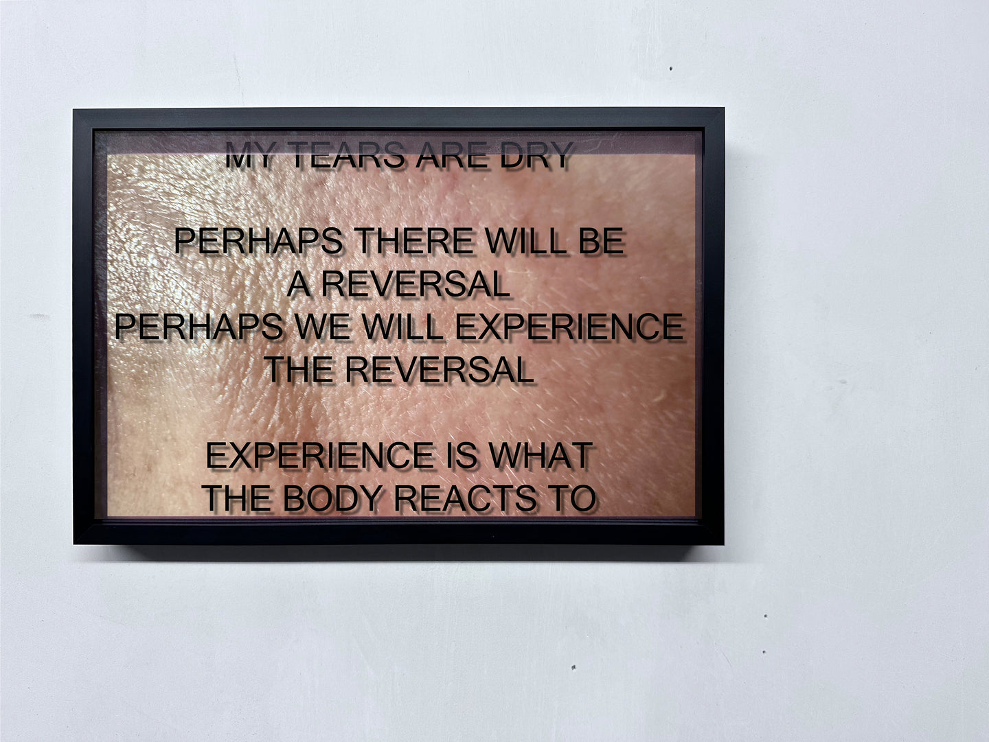 LOUISA CLEMENT — Body of Knowledge 93, 2025