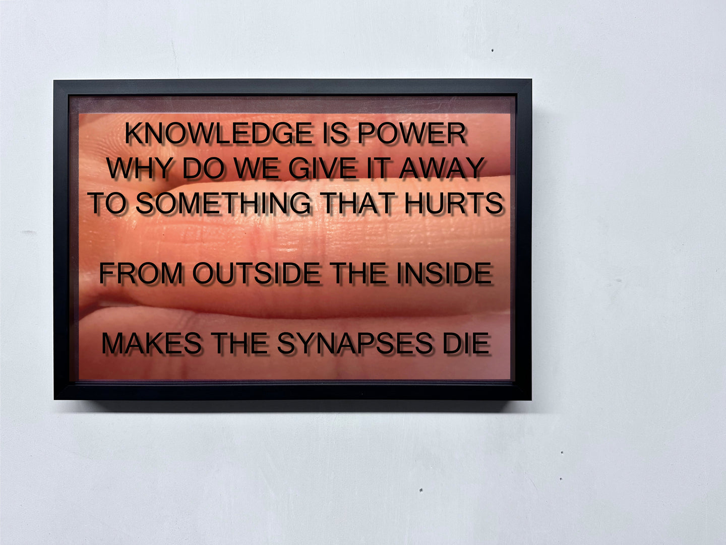 LOUISA CLEMENT — Body of Knowledge 94, 2025