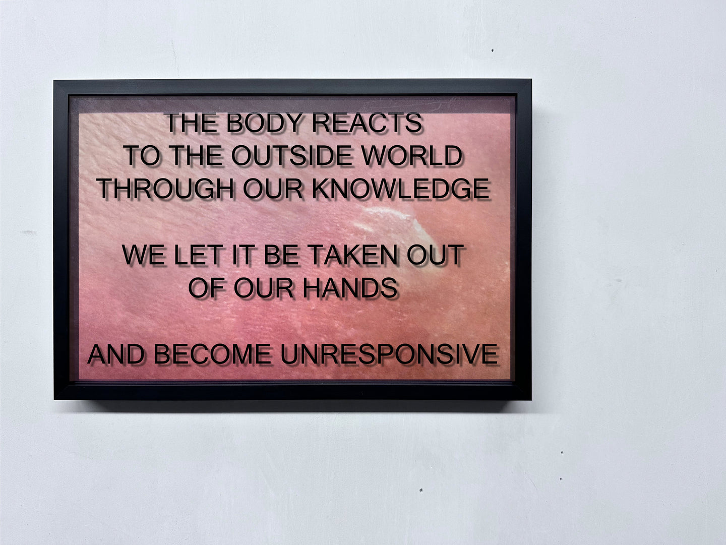 LOUISA CLEMENT — Body of Knowledge 104, 2025