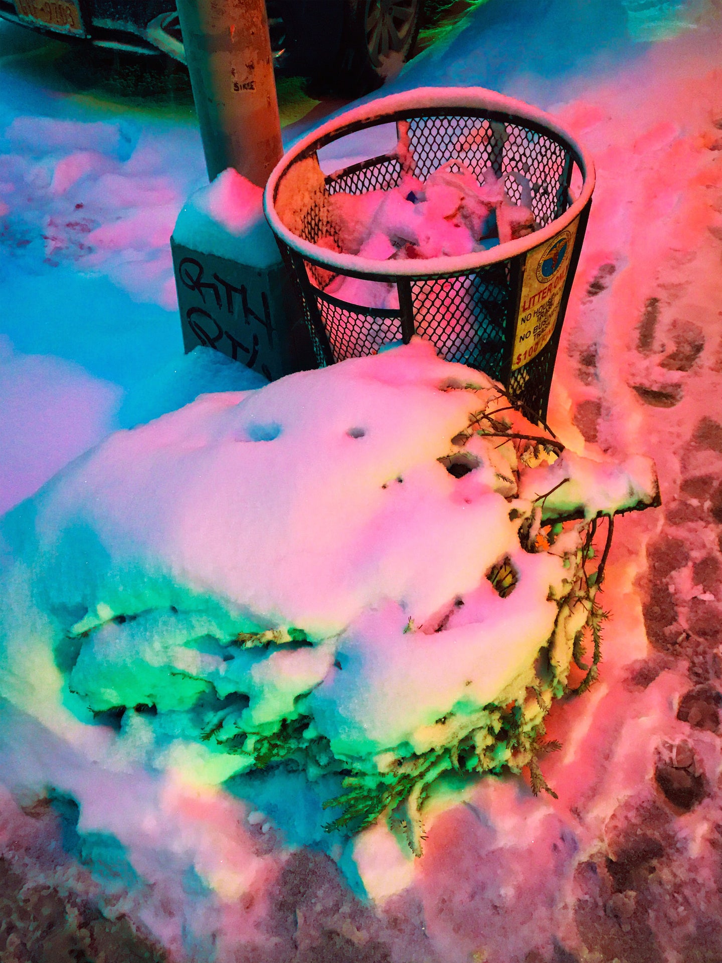 SIGNE PIERCE — Neon Snow Pt. II (SoHo, NYC), 2017