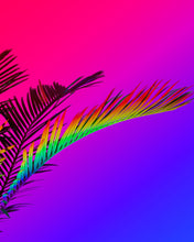 Load image into Gallery viewer, SIGNE PIERCE — Rainbow Palm, 2015
